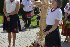 doz_039