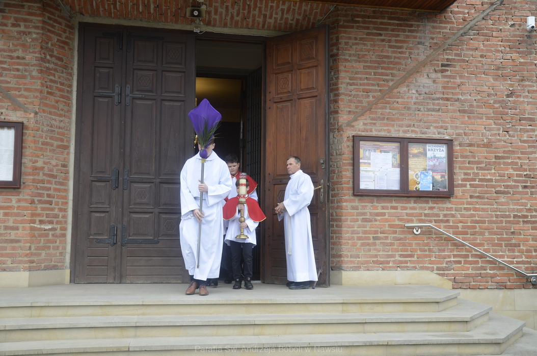 np_20 Niedziela Palmowa